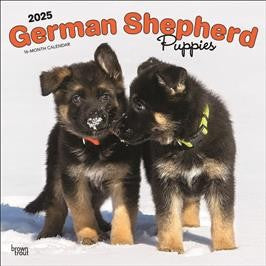 BROWN TROUT GERMAN SHEPHERD PUPPIES 2025 SQUARE CALENDAR