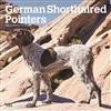 BROWN TROUT GERMAN SHORTHAIRED POINTERS 2025 SQUARE CALENDAR