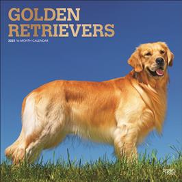 BROWN TROUT GOLDEN RETRIEVERS 2025 SQUARE FOIL CALENDAR