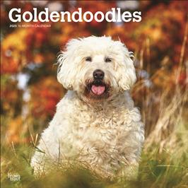 BROWN TROUT GOLDENDOODLES 2025 SQUARE CALENDAR