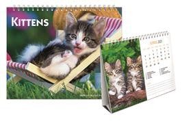 BROWN TROUT KITTENS 2025 DOUBLE VIEW DESK EASEL CALENDAR