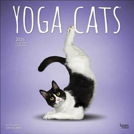 YOGA CATS 2026 SQUARE