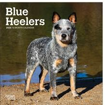 BLUE HEELERS 2026 MINI