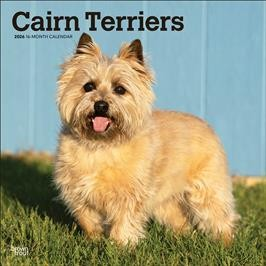 CAIRN TERRIERS 2026 SQUARE