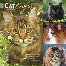 CAT LOVERS 2026 SQUARE FOIL