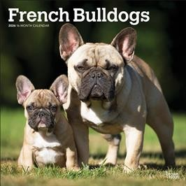 FRENCH BULLDOGS 2026 SQUARE