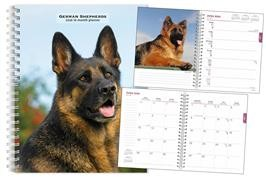 GERMAN SHEPHERDS 2026 ENGAGEMENT