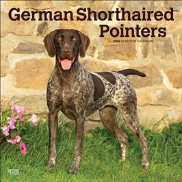 GERMAN SHORTHAIRED POINTERS 2026 SQUARE