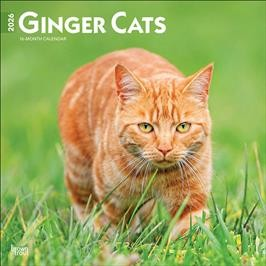 GINGER CATS 2026 SQUARE