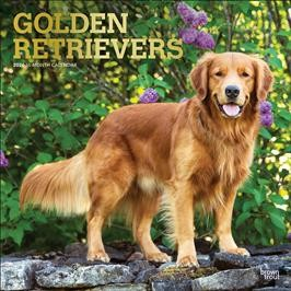 GOLDEN RETRIEVERS 2026 SQUARE FOIL