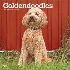 GOLDENDOODLES 2026 SQUARE