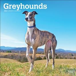 GREYHOUNDS 2026 SQUARE