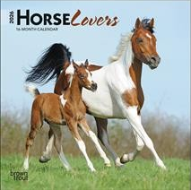HORSE LOVERS 2026 MINI