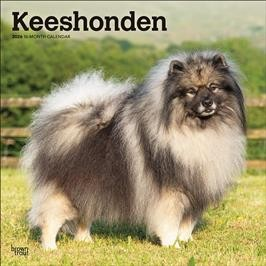 KEESHONDEN 2026 SQUARE