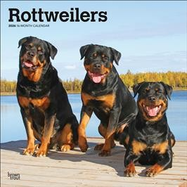 ROTTWEILERS 2026 SQUARE