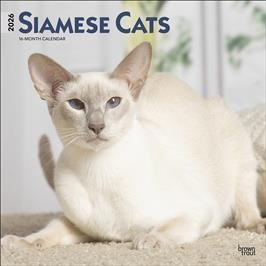 SIAMESE CATS 2026 SQUARE