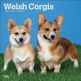 WELSH CORGIS 2026 SQUARE