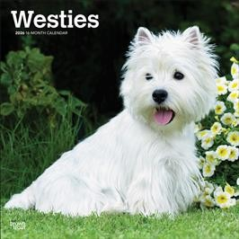 WEST HIGHLAND WHITE TERRIERS 2026 SQUARE