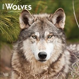 WOLVES 2026 SQUARE